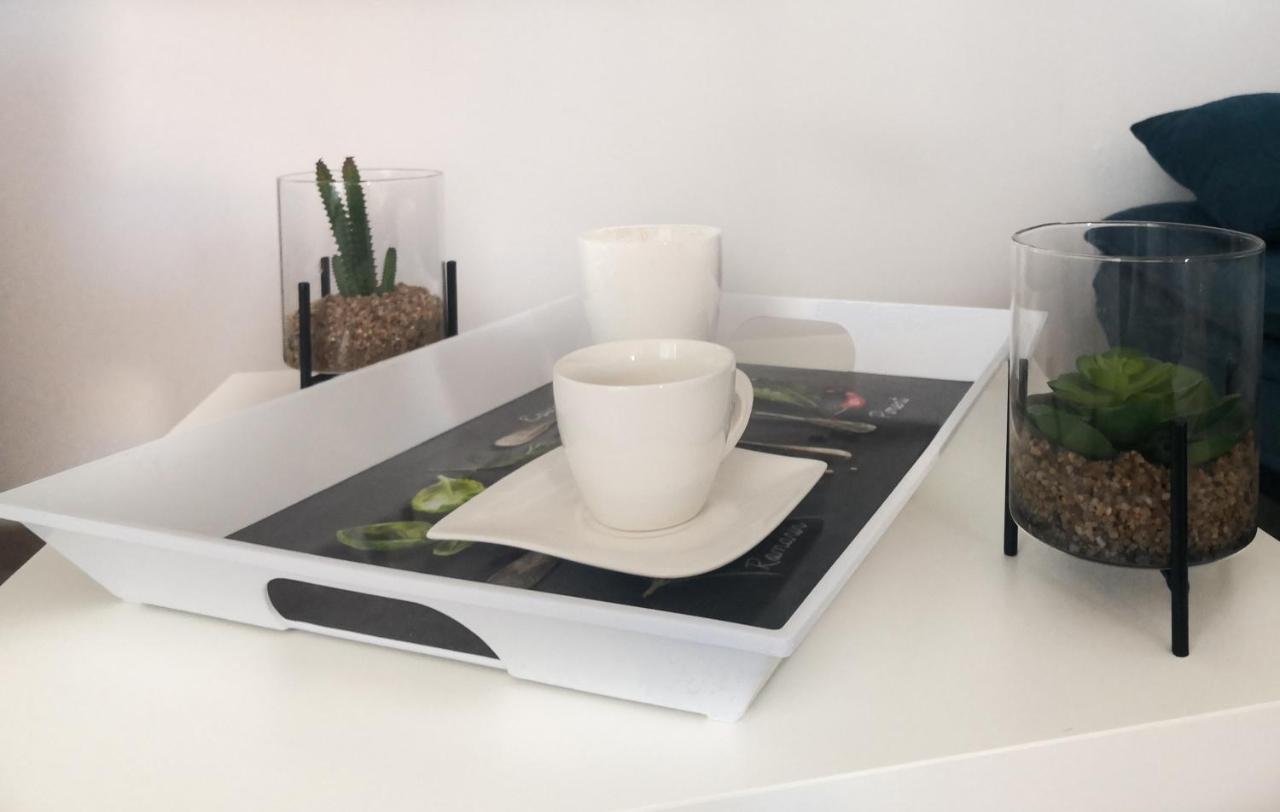 Istriana Boutique Apartment ノヴァ・ゴリツァ エクステリア 写真